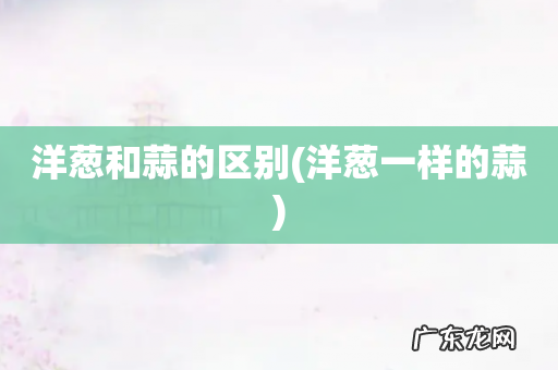 洋葱一样的蒜 洋葱和蒜的区别