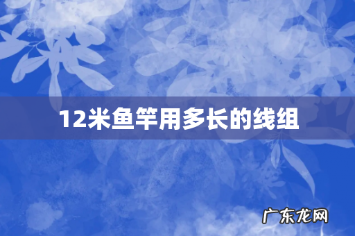 12米鱼竿用多长的线组