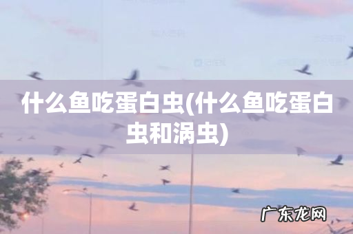 什么鱼吃蛋白虫和涡虫 什么鱼吃蛋白虫