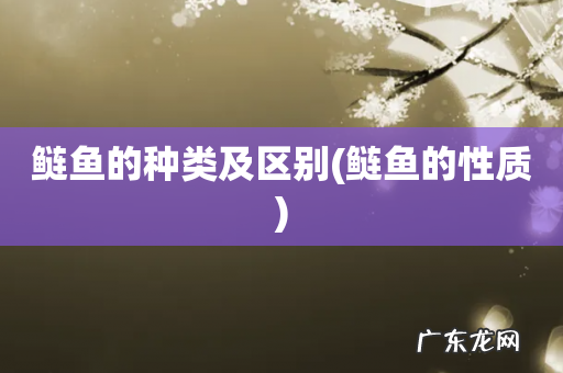 鲢鱼的性质 鲢鱼的种类及区别