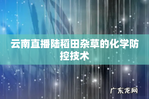 云南直播陆稻田杂草的化学防控技术