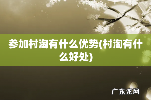 村淘有什么好处 参加村淘有什么优势