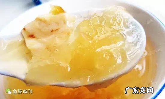 鱼胶和燕窝哪个功效更好? 鱼胶的功效和作用禁忌