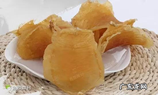 鱼胶和燕窝哪个功效更好? 鱼胶的功效和作用禁忌