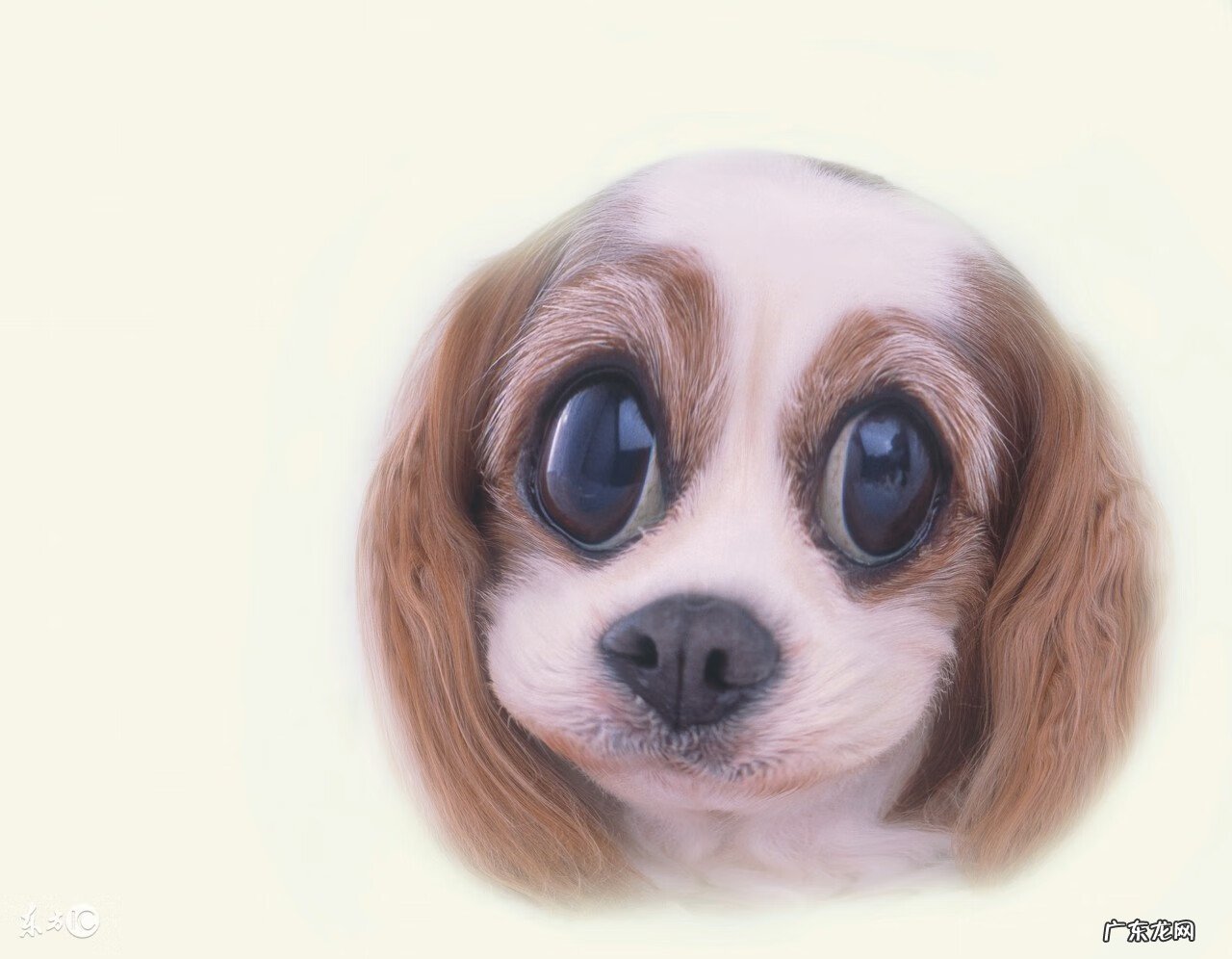 吃鸡肝对人体有什么好处 吃鸡肝有什么好处和坏处