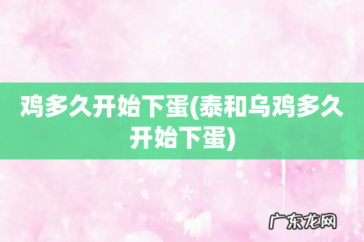 泰和乌鸡多久开始下蛋 鸡多久开始下蛋