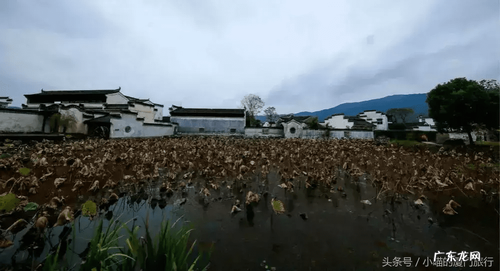 重庆江津风水宝地 新安县风水宝地