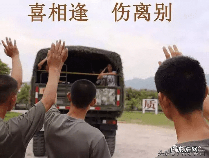 坟上种豆子什么意思 坟上长黄豆好不好