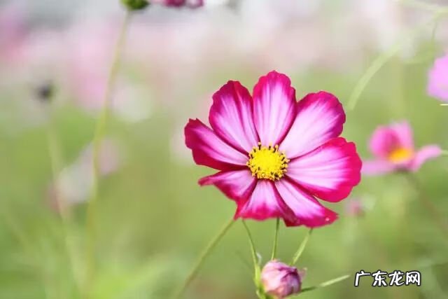 风水基本定律 风水之自然法则