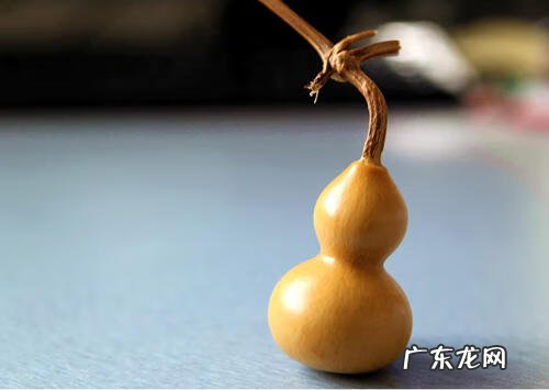 屋顶有树会影响风水吗 房顶上有发射台影响风水吗