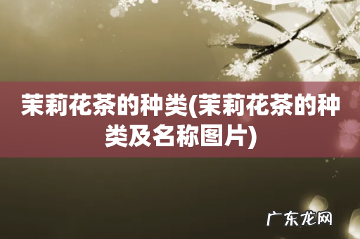 茉莉花茶的种类及名称图片 茉莉花茶的种类