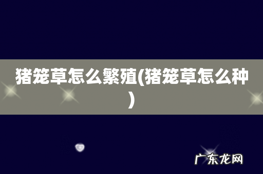 猪笼草怎么种 猪笼草怎么繁殖