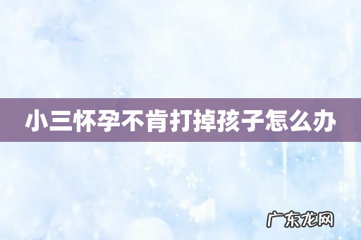 小三怀孕不肯打掉孩子怎么办