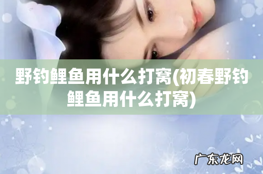 初春野钓鲤鱼用什么打窝 野钓鲤鱼用什么打窝