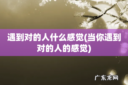 当你遇到对的人的感觉 遇到对的人什么感觉