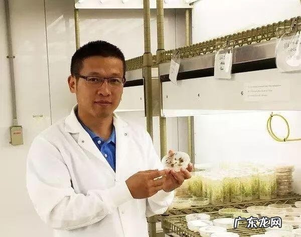 大学生活部工作计划 学生会生活部是干嘛的