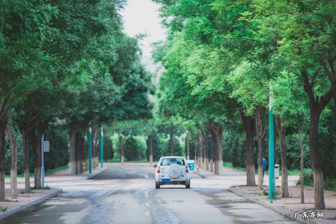 大学生活部工作计划 学生会生活部是干嘛的