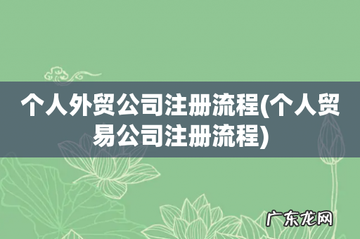 个人贸易公司注册流程 个人外贸公司注册流程
