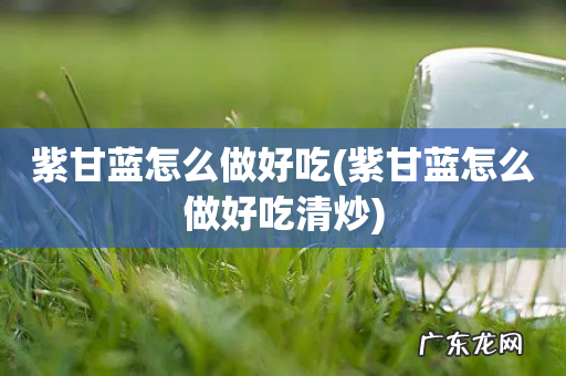 紫甘蓝怎么做好吃清炒 紫甘蓝怎么做好吃