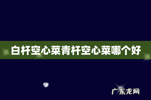 白杆空心菜青杆空心菜哪个好