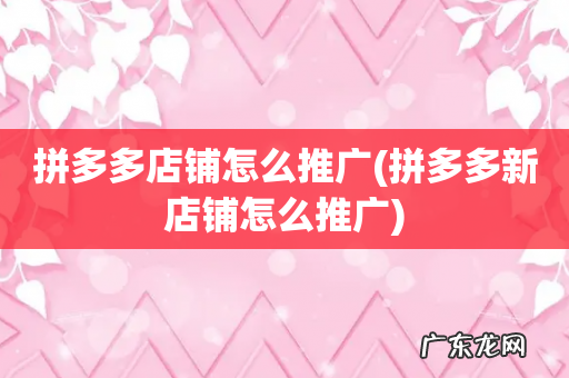 拼多多新店铺怎么推广 拼多多店铺怎么推广