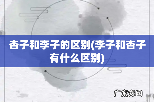 李子和杏子有什么区别 杏子和李子的区别