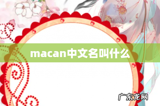 macan中文名叫什么