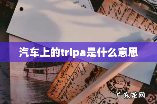 汽车上的tripa是什么意思