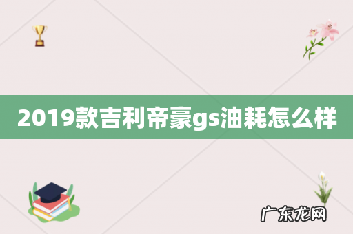 2019款吉利帝豪gs油耗怎么样