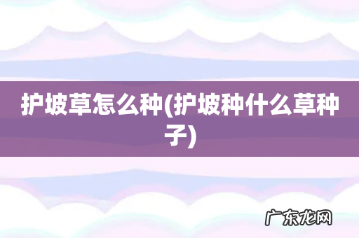 护坡种什么草种子 护坡草怎么种