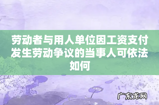 劳动者与用人单位因工资支付发生劳动争议的当事人可依法如何