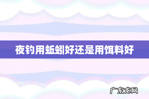 夜钓用蚯蚓好还是用饵料好