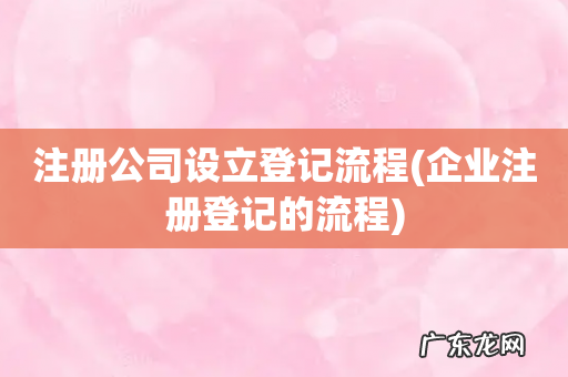 企业注册登记的流程 注册公司设立登记流程