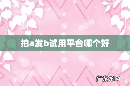 拍a发b试用平台哪个好