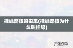 挂绿荔枝为什么叫挂绿 挂绿荔枝的由来