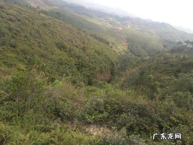 北流十大风水宝地 北流市留题风水宝地