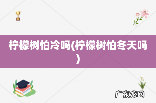 柠檬树怕冬天吗 柠檬树怕冷吗