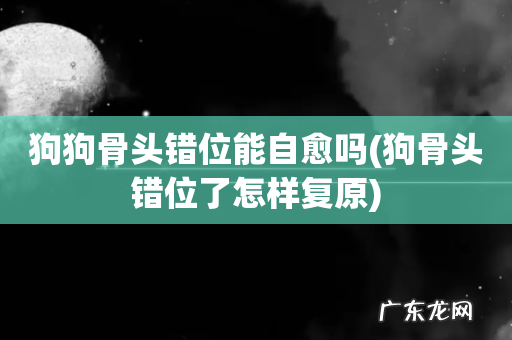 狗骨头错位了怎样复原 狗狗骨头错位能自愈吗