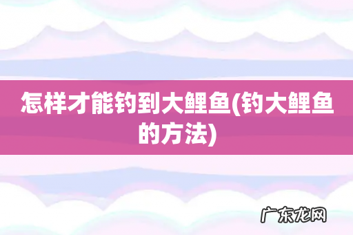 钓大鲤鱼的方法 怎样才能钓到大鲤鱼