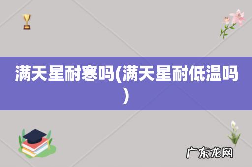 满天星耐低温吗 满天星耐寒吗
