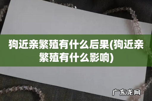 狗近亲繁殖有什么影响 狗近亲繁殖有什么后果