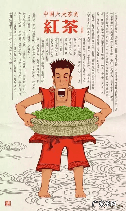 怎样正确泡茶 如何泡茶才好喝