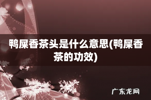 鸭屎香茶的功效 鸭屎香茶头是什么意思