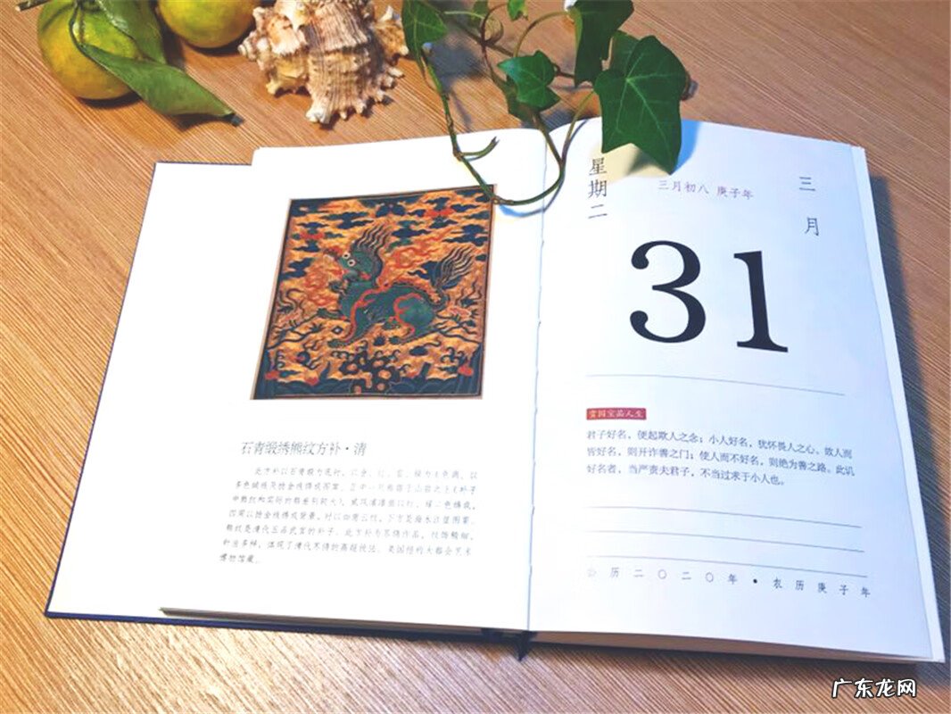 龙饮水是什么风水 水杯上有龙形图案好不好