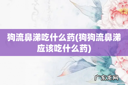 狗狗流鼻涕应该吃什么药 狗流鼻涕吃什么药