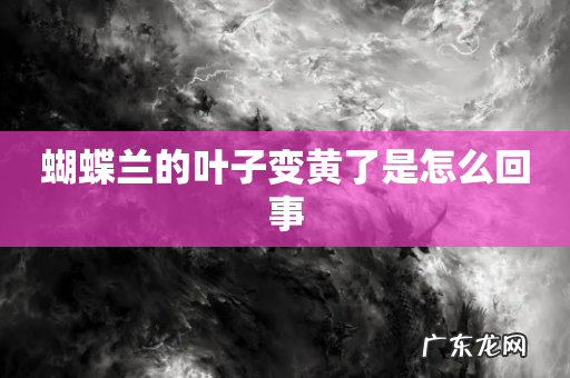 蝴蝶兰的叶子变黄了是怎么回事