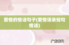 爱情语录短句情话 爱情的情话句子
