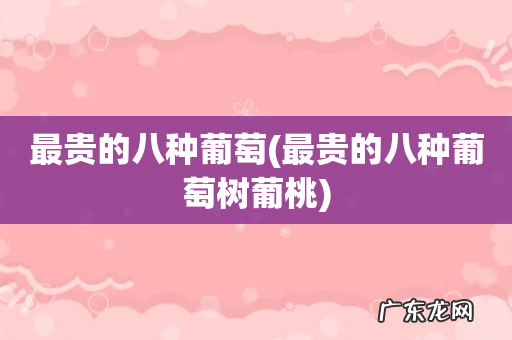 最贵的八种葡萄树葡桃 最贵的八种葡萄