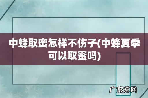中蜂夏季可以取蜜吗 中蜂取蜜怎样不伤子