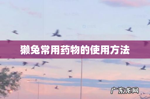 獭兔常用药物的使用方法